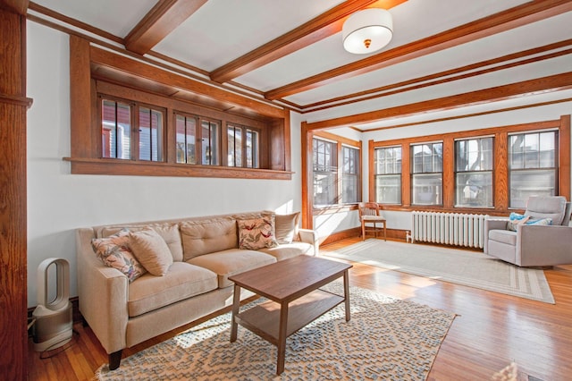 living room with radiator, a wealth of natural light, beamed ceiling, and light hardwood / wood-style floors