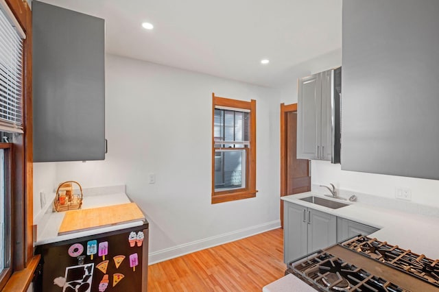 kitchen with gray cabinets, light hardwood / wood-style floors, and sink