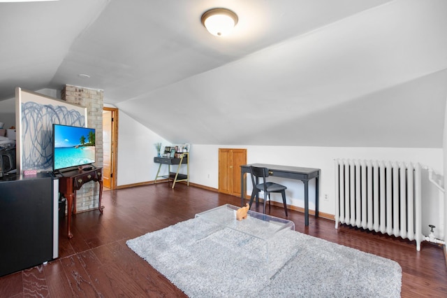 additional living space with dark hardwood / wood-style flooring, radiator heating unit, and lofted ceiling