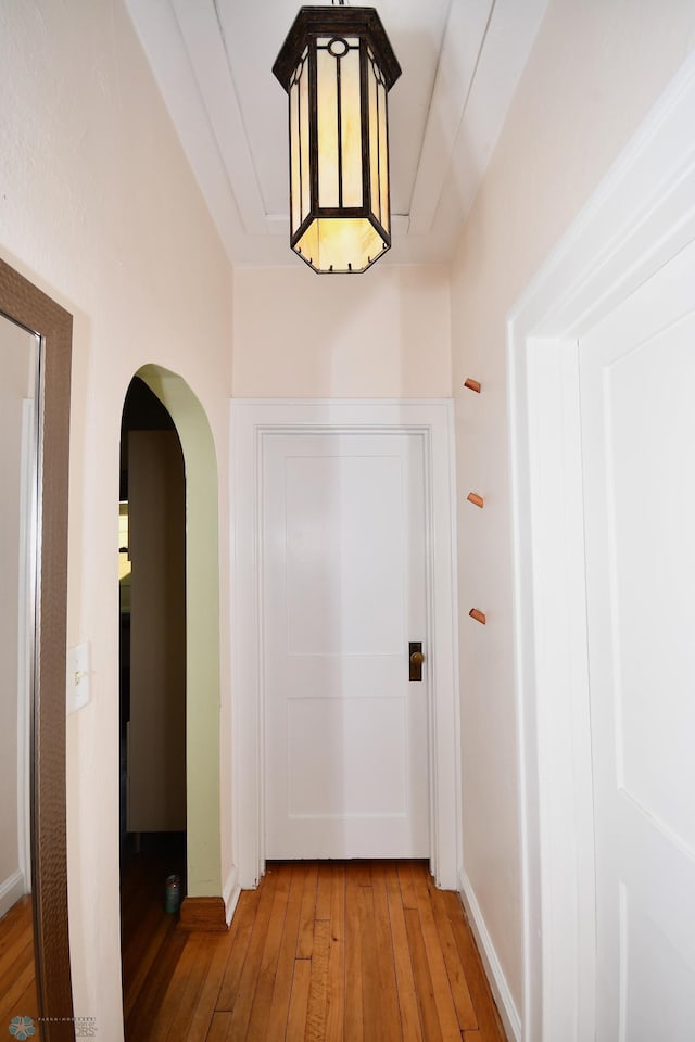 hallway with hardwood / wood-style floors