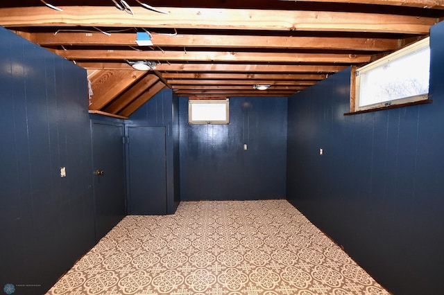 basement with plenty of natural light and wood walls