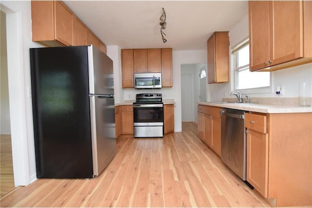 kitchen featuring sink, light hardwood / wood-style flooring, and appliances with stainless steel finishes