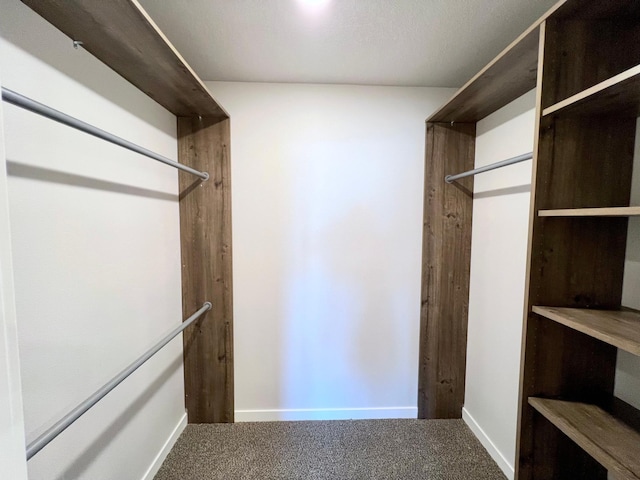 walk in closet with carpet flooring