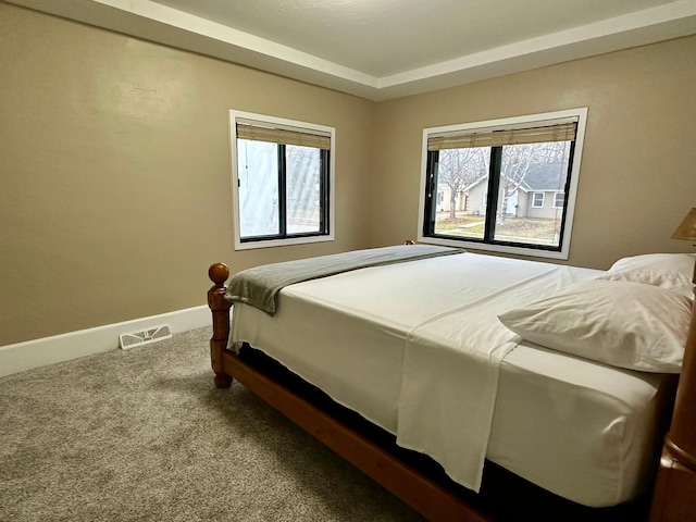 carpeted bedroom with multiple windows