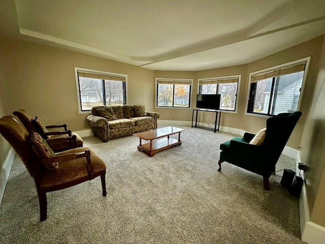 living room featuring carpet floors and a raised ceiling