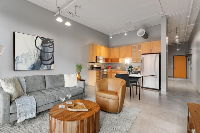 living room featuring a high ceiling and rail lighting