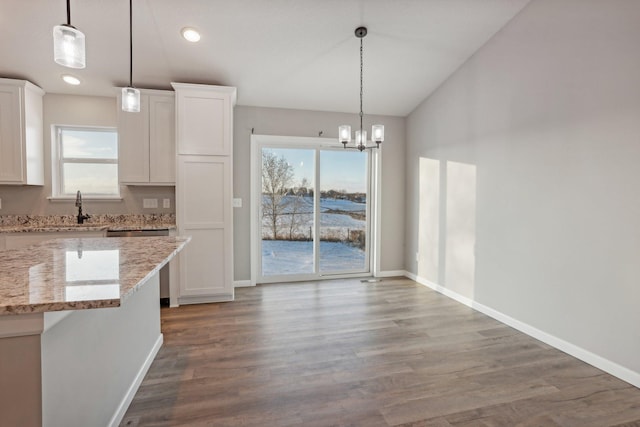 kitchen featuring white cabinets, plenty of natural light, light stone counters, and dark wood-type flooring