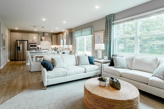 living room with hardwood / wood-style floors