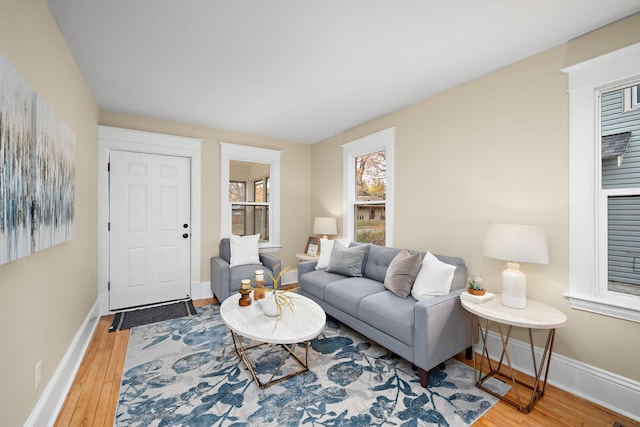 living room with hardwood / wood-style floors