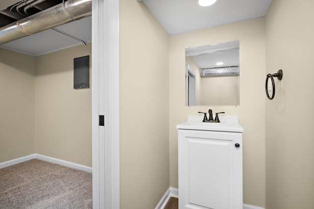 bathroom with electric panel and vanity