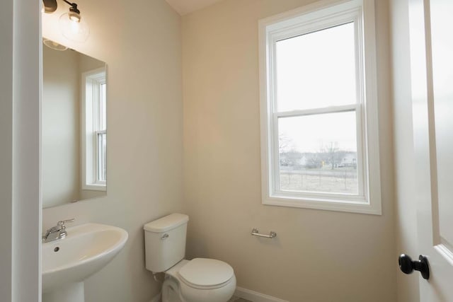 bathroom featuring toilet, a wealth of natural light, and sink