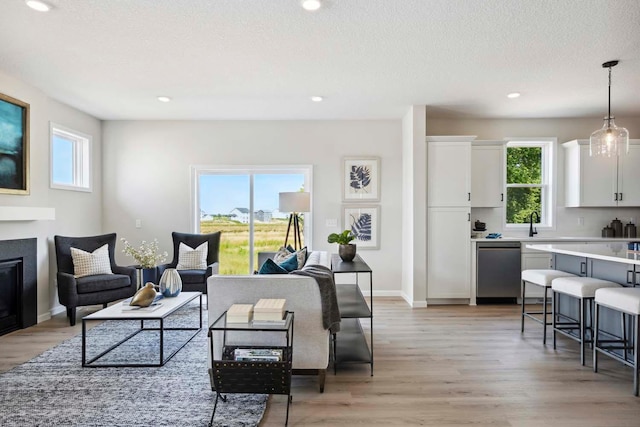 living room featuring a textured ceiling, light hardwood / wood-style floors, and plenty of natural light