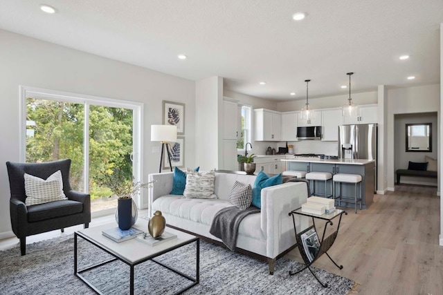 living room featuring sink and light hardwood / wood-style flooring