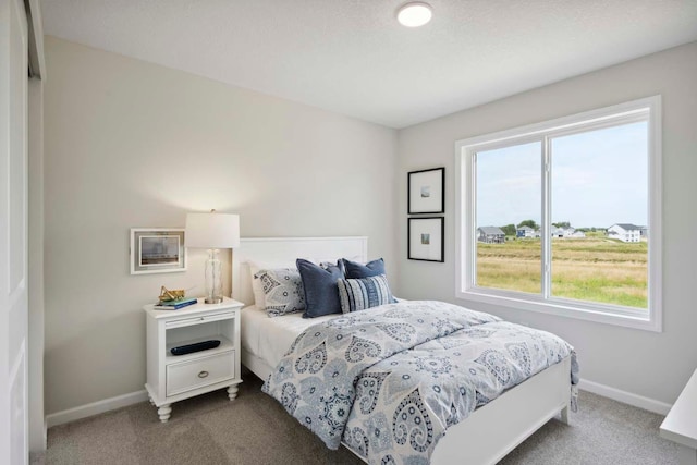 bedroom featuring carpet floors