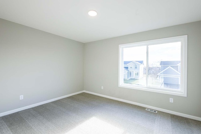 empty room featuring carpet and a wealth of natural light