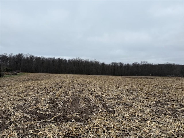 Listing photo 2 for LOT1 County Highway D, Long Lake Twp WI 54870