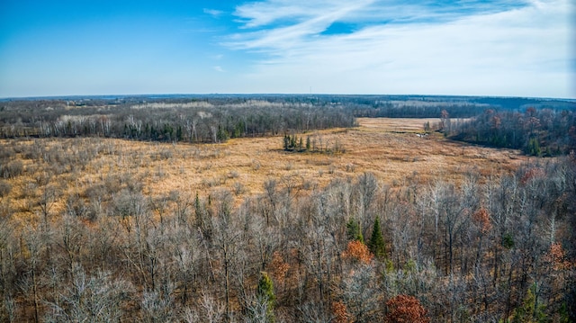 TBD Highway 89 Nw, Puposky, MN 56667