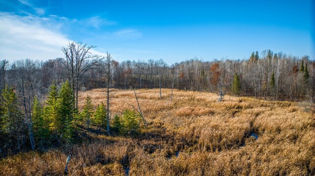 TBD Highway 89 Nw, Puposky, MN 56667