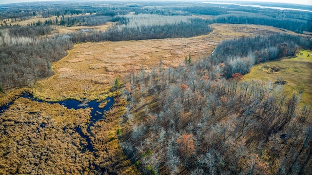 TBD Highway 89 Nw, Puposky, MN 56667