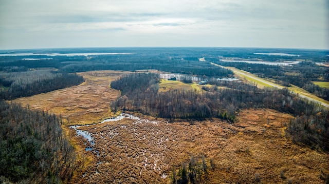 TBD Highway 89 Nw, Puposky, MN 56667