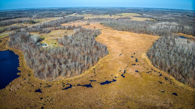 TBD Highway 89 Nw, Puposky, MN 56667