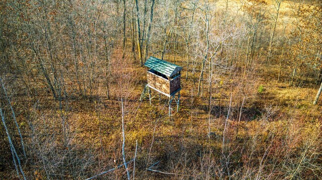 TBD Highway 89 Nw, Puposky, MN 56667