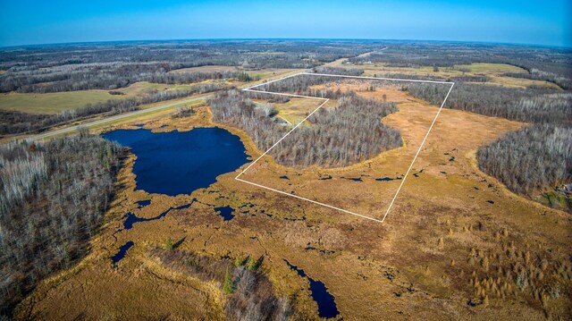 TBD Highway 89 Nw, Puposky, MN 56667
