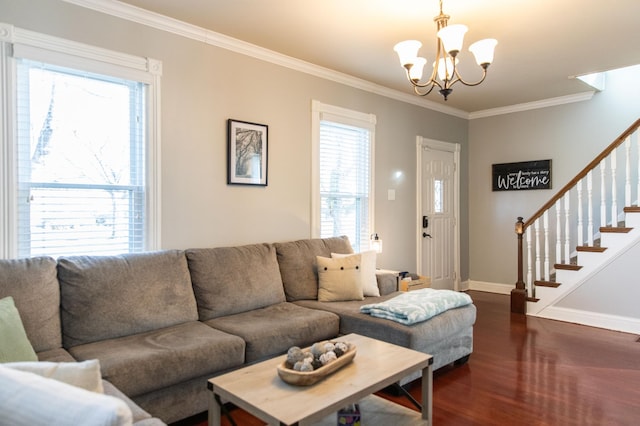 living room featuring an inviting chandelier, dark wood-type flooring, and crown molding