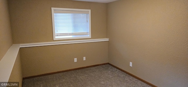 9725 Thomas Ave N, Brooklyn Park, MN 55444 - empty room with carpet and a textured wall