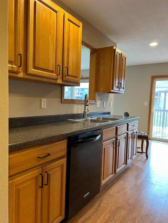 kitchen with black dishwasher, light hardwood / wood-style flooring, a healthy amount of sunlight, and sink