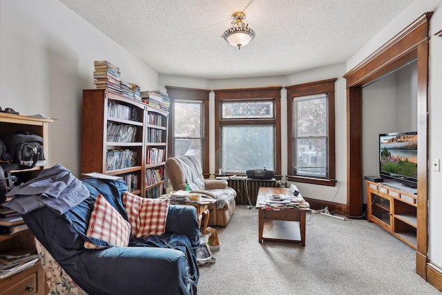 living area with carpet flooring and a textured ceiling