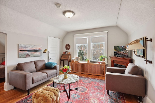 living room featuring vaulted ceiling, radiator, and hardwood / wood-style floors