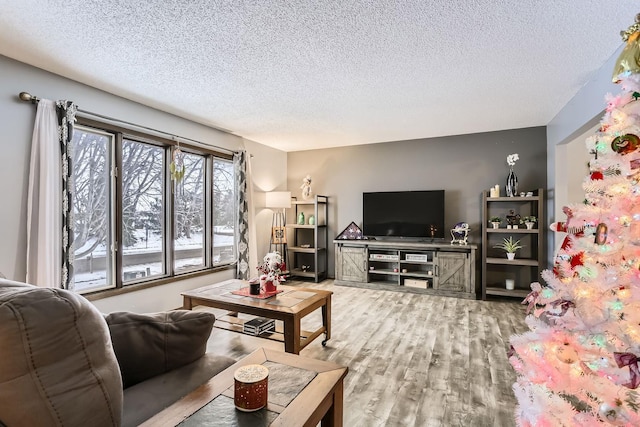 living room with a textured ceiling and hardwood / wood-style flooring