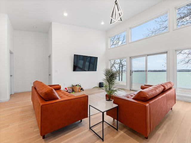 living room with a high ceiling and light hardwood / wood-style floors