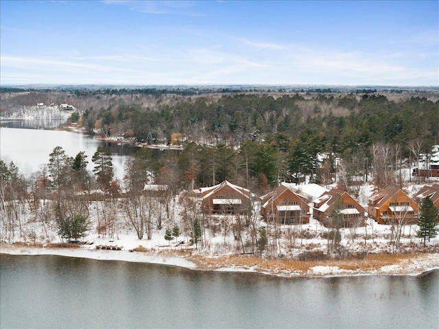 snowy aerial view featuring a water view