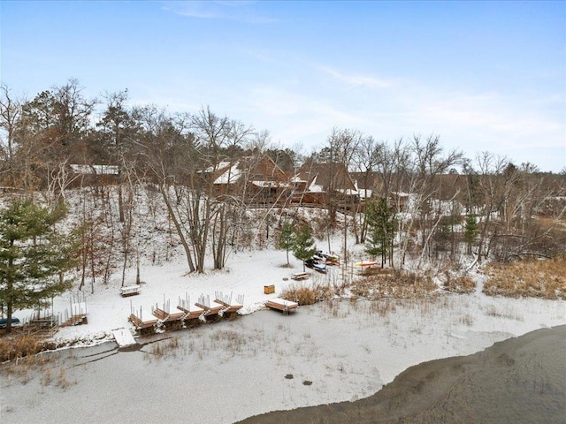 view of snowy landscape