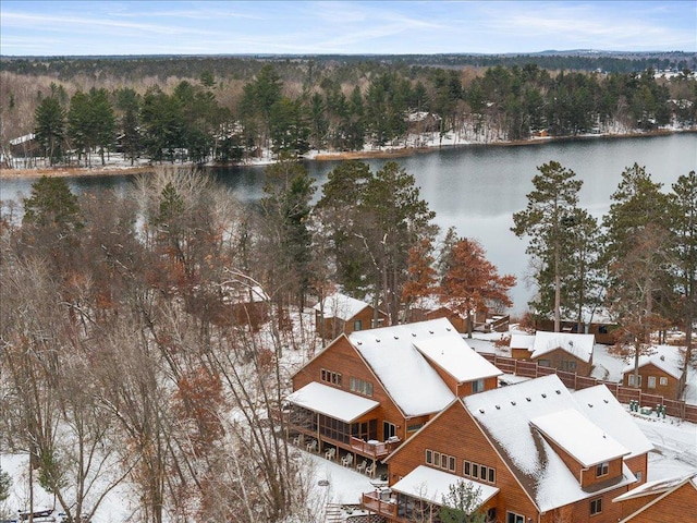 snowy aerial view featuring a water view