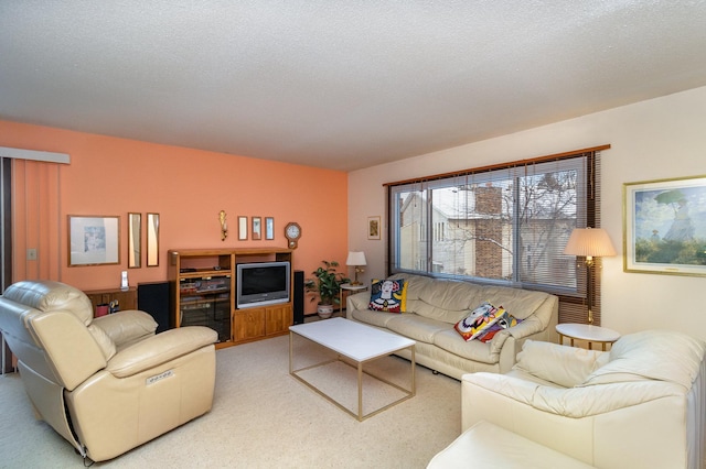 living room with carpet and a textured ceiling