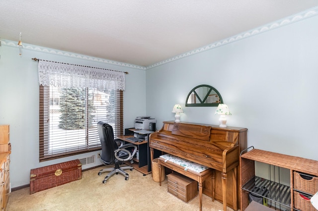 home office with light colored carpet