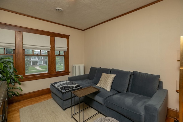 living area with crown molding, radiator, a textured ceiling, wood finished floors, and baseboards