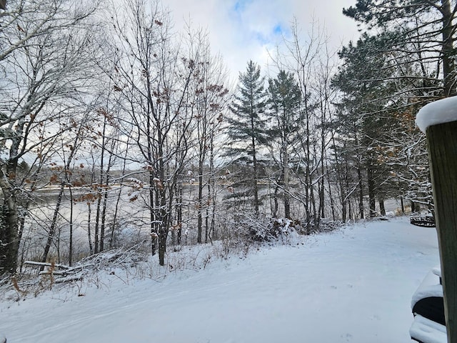 view of yard covered in snow