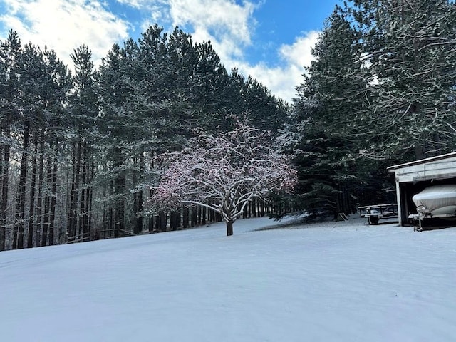 snowy yard featuring a forest view