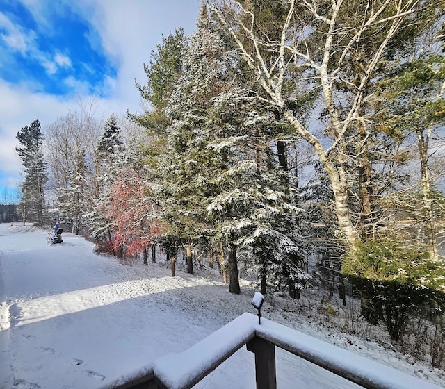 view of snowy yard