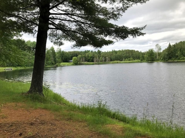 water view with a view of trees