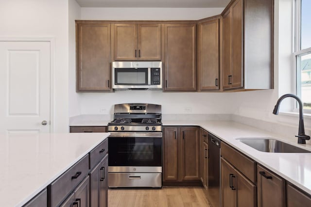 kitchen with sink, light wood-type flooring, dark brown cabinets, and appliances with stainless steel finishes