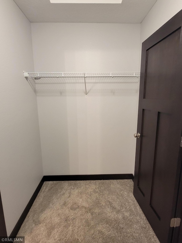 spacious closet featuring carpet floors