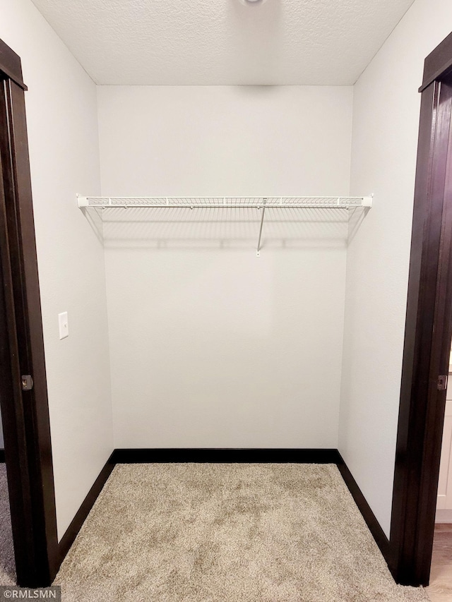 walk in closet with light carpet