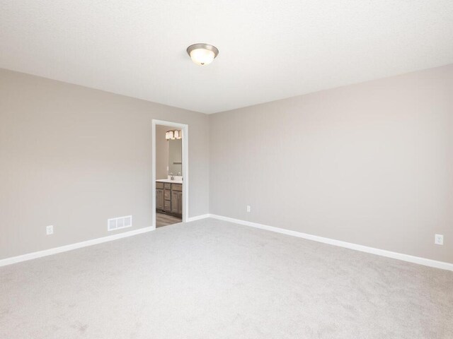2301 Hickory Ln, Mayer, MN 55360 - photo 16