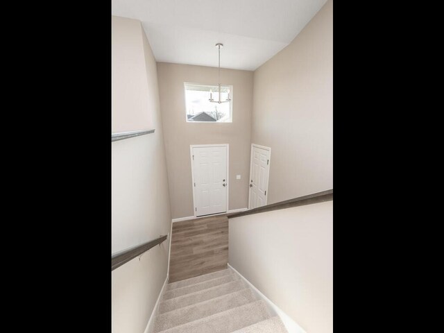 2301 Hickory Ln, Mayer, MN 55360 - photo 14