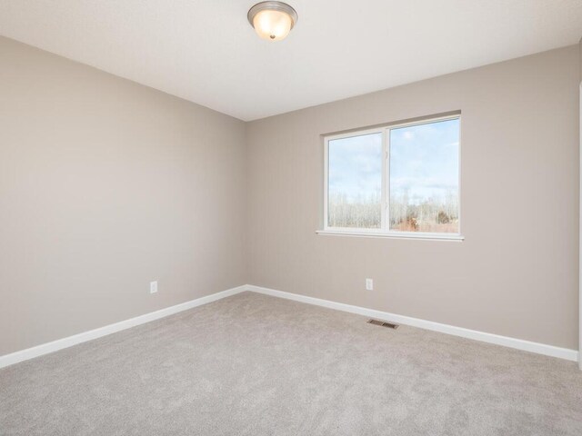 2301 Hickory Ln, Mayer, MN 55360 - photo 21